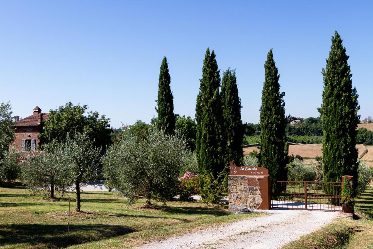 Villa La Bacaia à Marciano della Chiana Extérieur photo