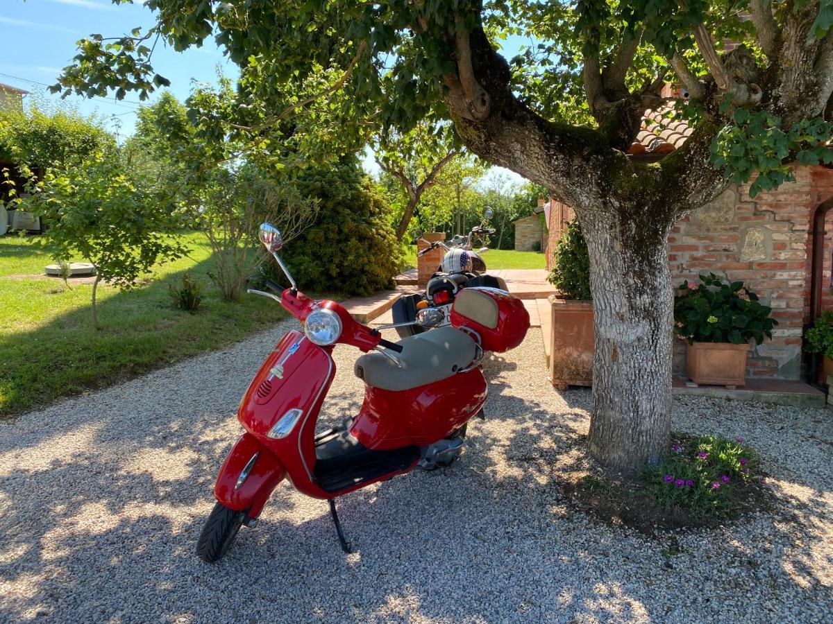 Villa La Bacaia à Marciano della Chiana Extérieur photo